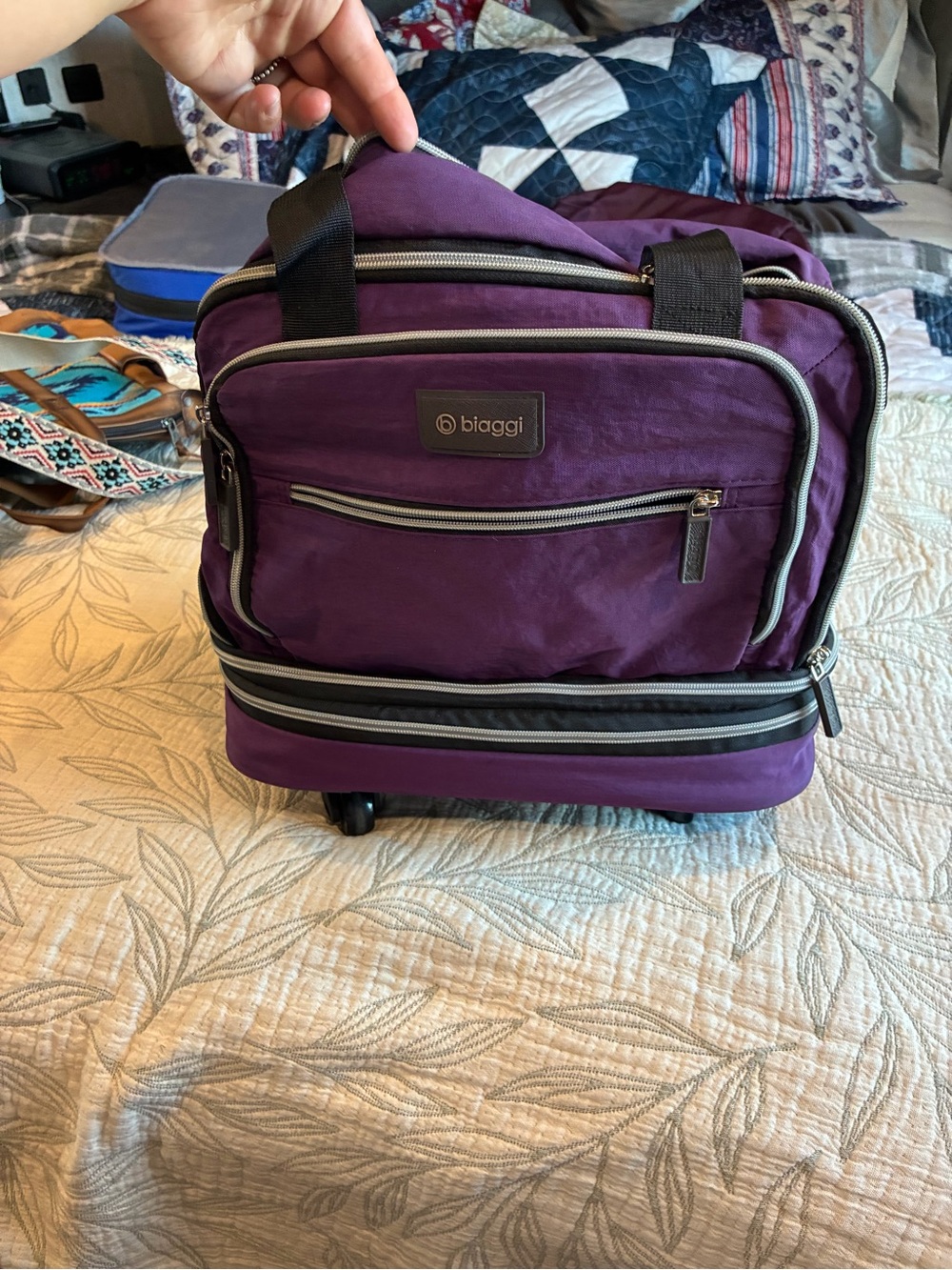 Biaggi Purple under seater zipsak